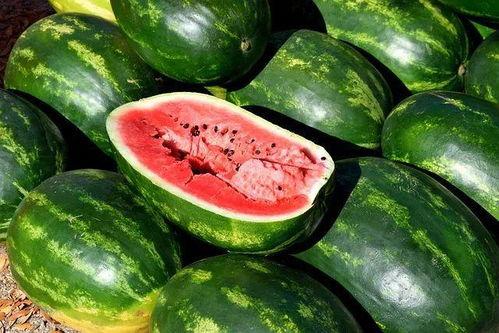 吃瓜素材视频大全,笑料百出，揭秘娱乐圈幕后故事