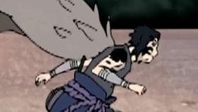 吃瓜秃仔视频在线观看,揭秘网络红人幕后生活