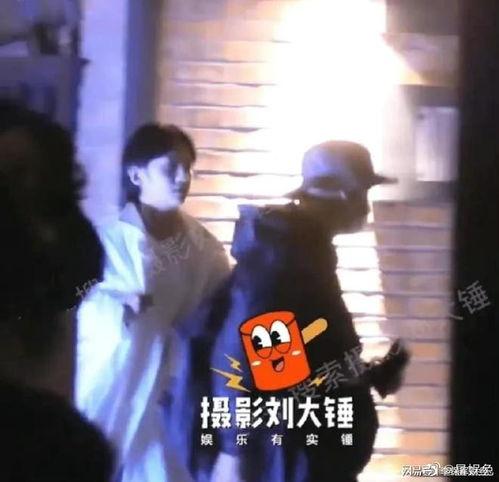 美人儿吃瓜视频大全集免费观看,免费观看视频大全集揭秘