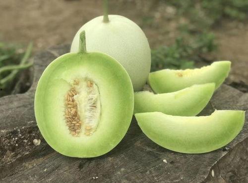 八卦吃瓜博主甜瓜视频,揭秘网红博主甜瓜的吃瓜视频魅力