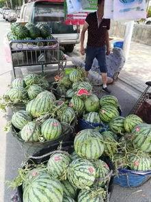 兴义视频吃瓜事件,揭秘网络舆论的风暴与反思