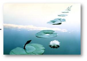 人生如梦吃瓜视频下载,揭秘热门吃瓜视频下载背后的故事