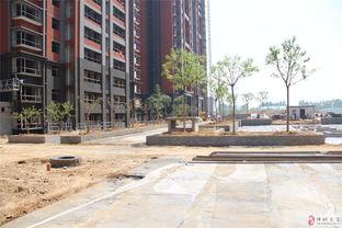 韩城紫御华府吃瓜视频,揭秘网红小区背后的故事