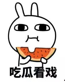 瓜哥带你吃瓜瓜奇葩视频