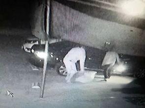 老板吃瓜套路大全视频播放,视频播放背后的趣味与智慧